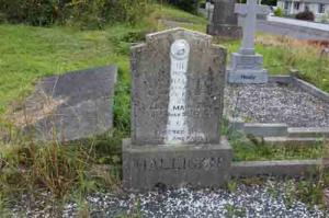 Halligan John Creggane